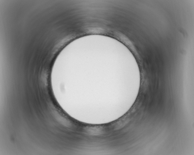 X0000110730106200907241235