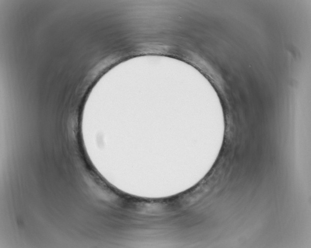 X0000110730107200907241235