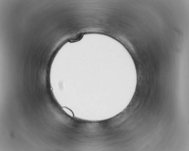 X0000110730108200907241235
