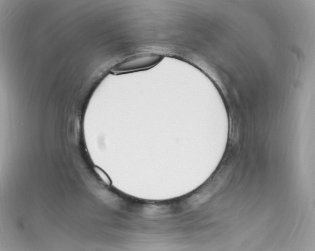 X0000110730109200907241235