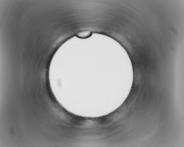 X0000110730111200907241235