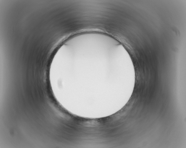 X0000110730112200907241235