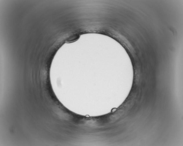 X0000110730113200907241235