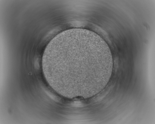 X0000110730114200907241235