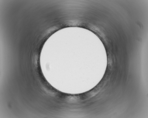 X0000110730115200907241235