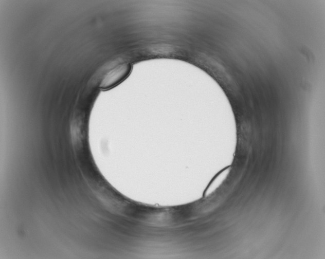 X0000110730116200907241235