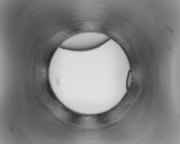 X0000110730117200907241235