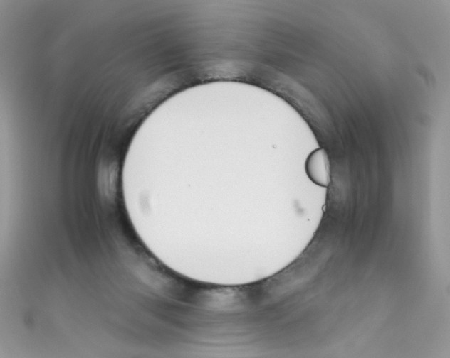 X0000110730118200907241235