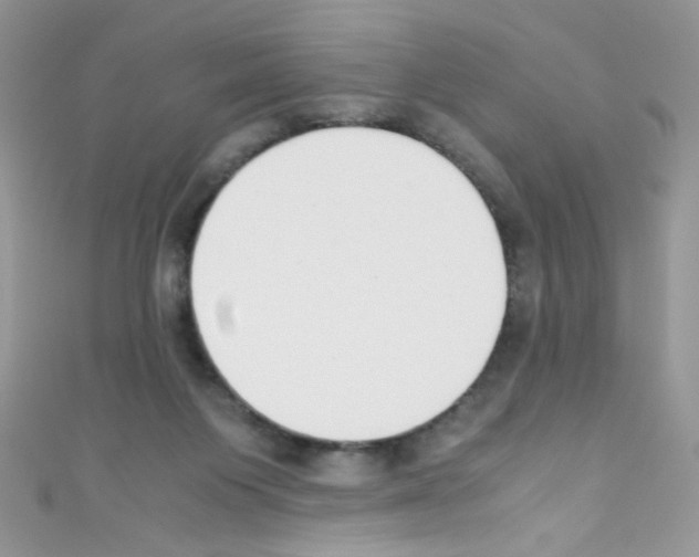 X0000110730119200907241235