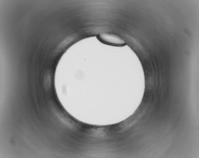 X0000110730120200907241235