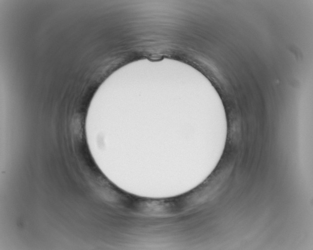 X0000110730121200907241235