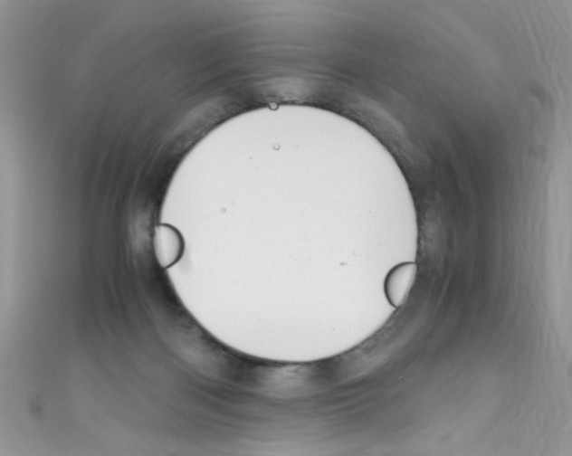X0000110730122200907241235