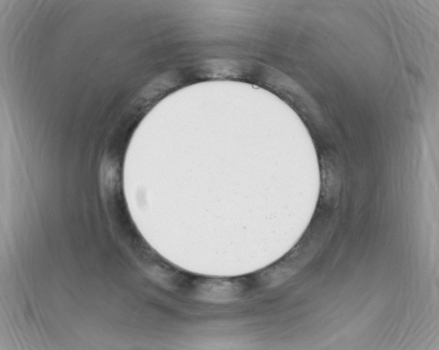 X0000110730123200907241235