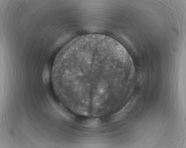 X0000110730124200907241235