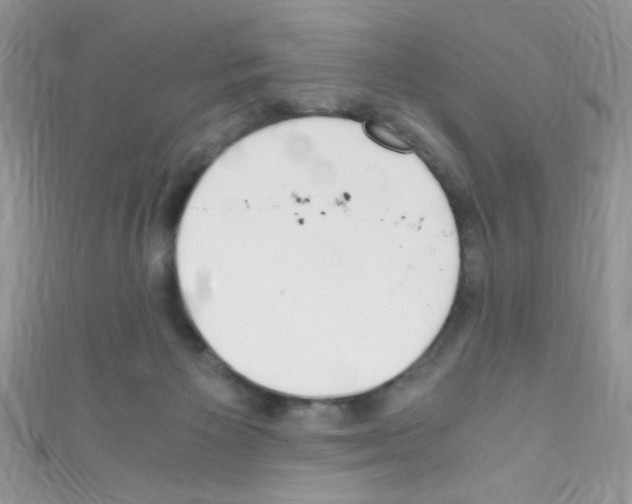 X0000110730125200907241235