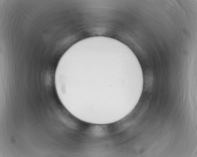 X0000110730126200907241235