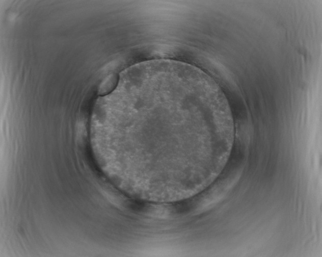 X0000110730127200907241235