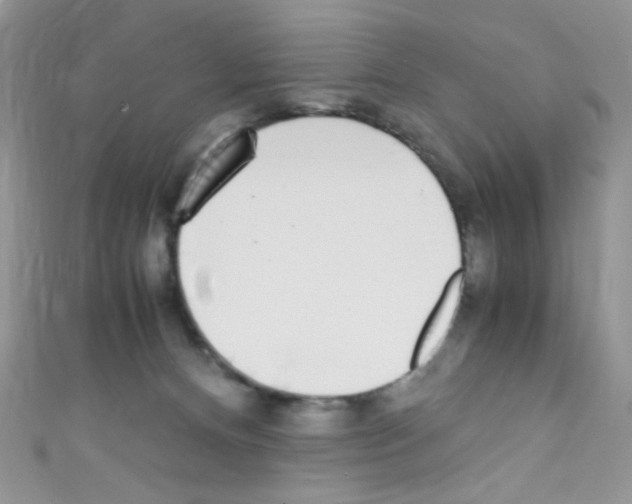 X0000110730128200907241235