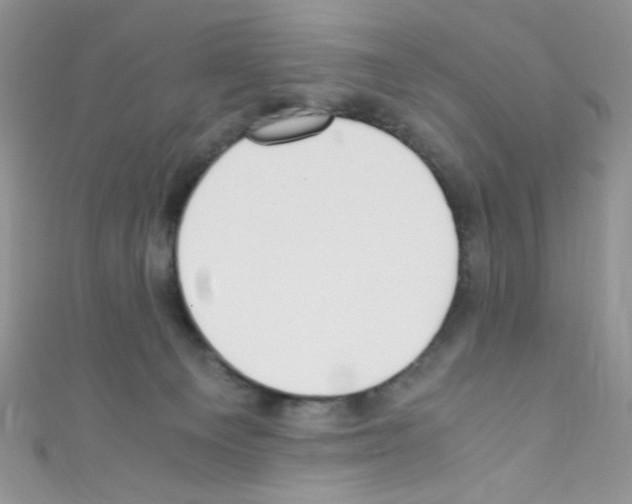 X0000110730129200907241235