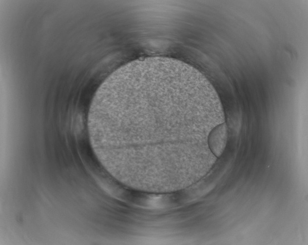 X0000110730130200907241235