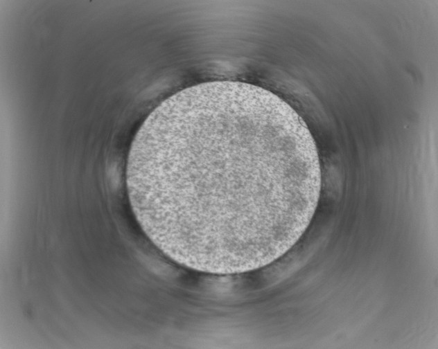X0000110730131200907241235