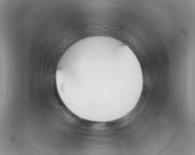 X0000110730132200907241235
