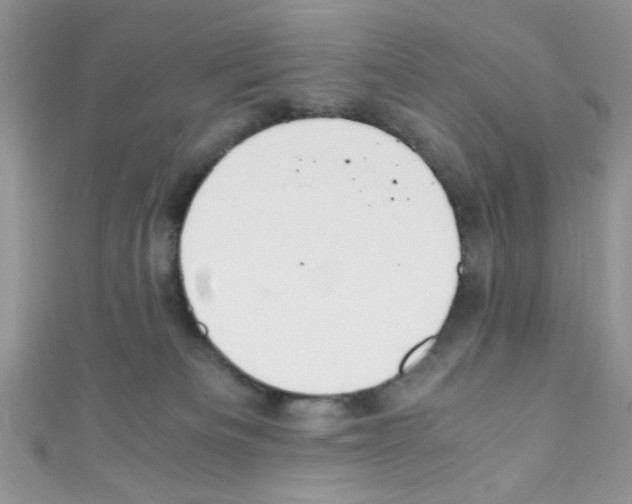 X0000110730133200907241235