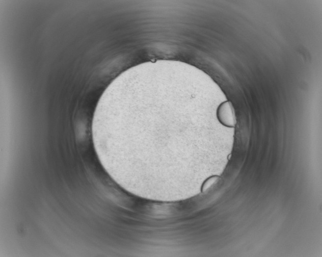 X0000110730134200907241235