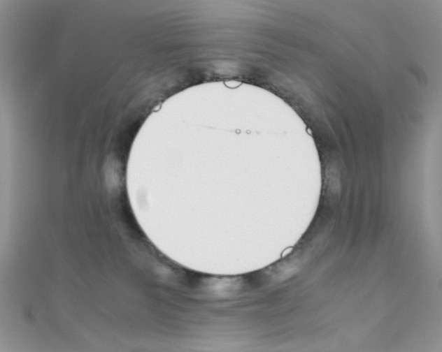 X0000110730135200907241235