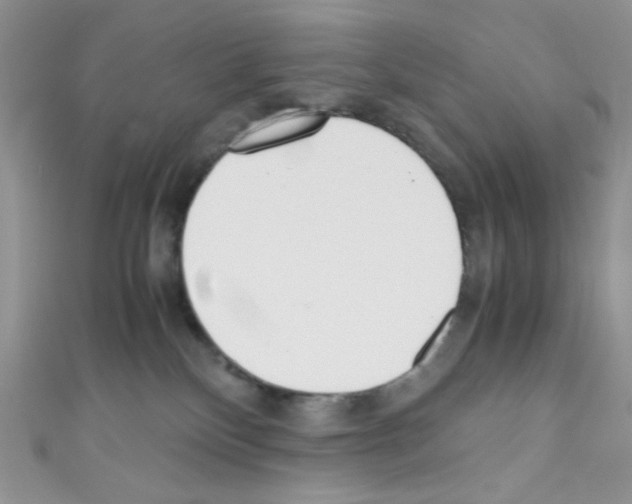 X0000110730136200907241235