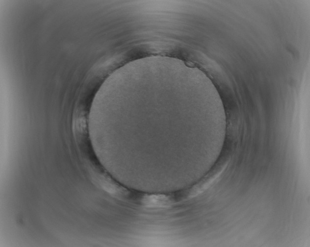 X0000110730137200907241235