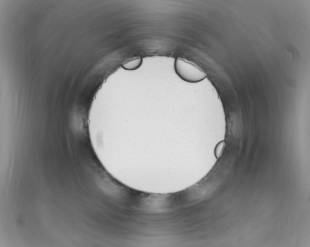 X0000110730138200907241235