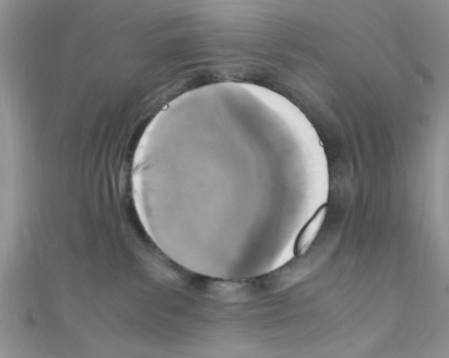 X0000110730139200907241235