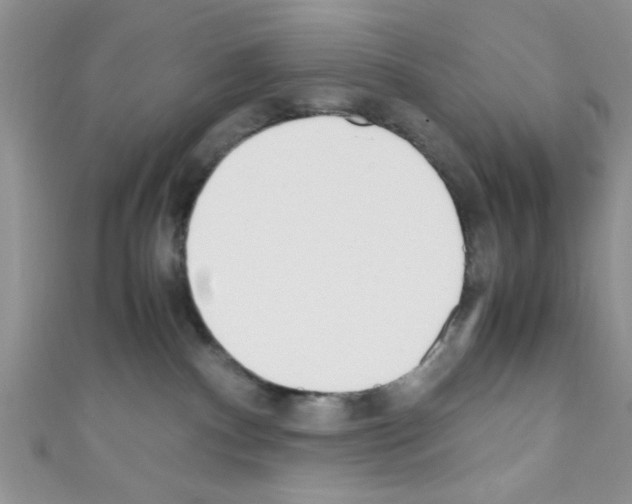 X0000110730140200907241235