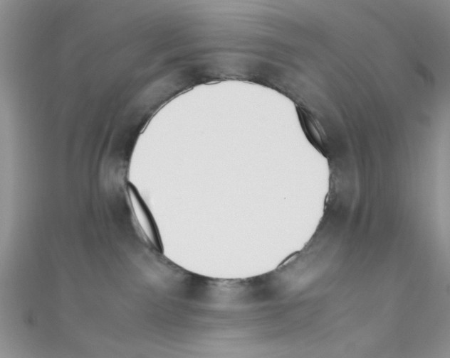 X0000110730141200907241235