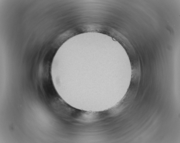 X0000110730142200907241235