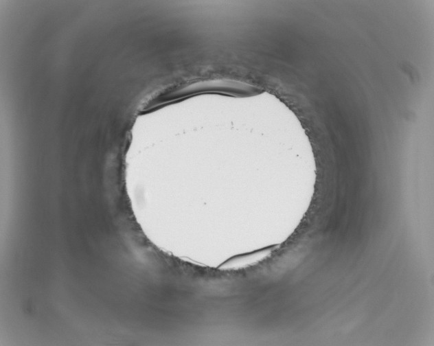 X0000110730144200907241235