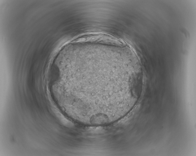X0000110730145200907241234