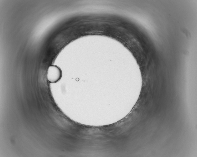 X0000110730146200907241234