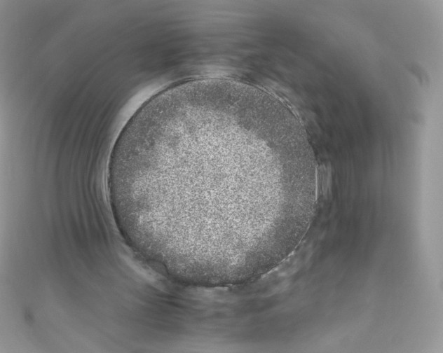 X0000110730147200907241234
