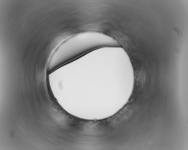 X0000110730148200907241234