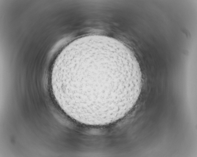 X0000110730149200907241234