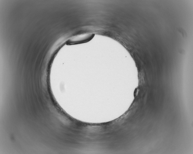 X0000110730150200907241234