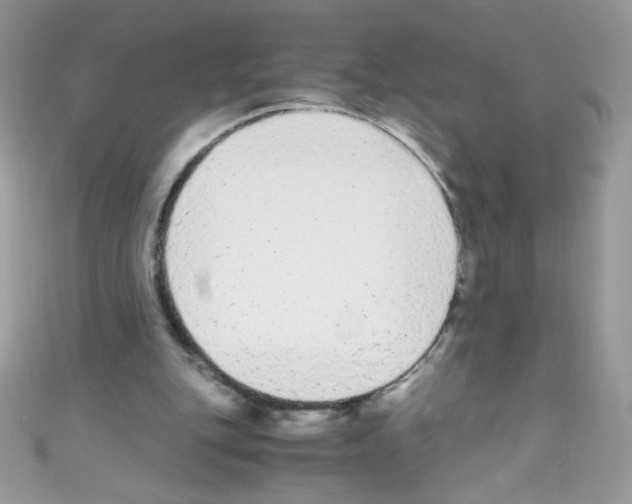 X0000110730151200907241234
