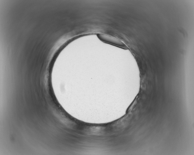 X0000110730152200907241234