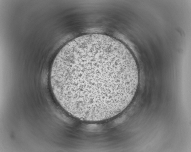 X0000110730153200907241234