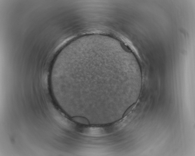 X0000110730154200907241234
