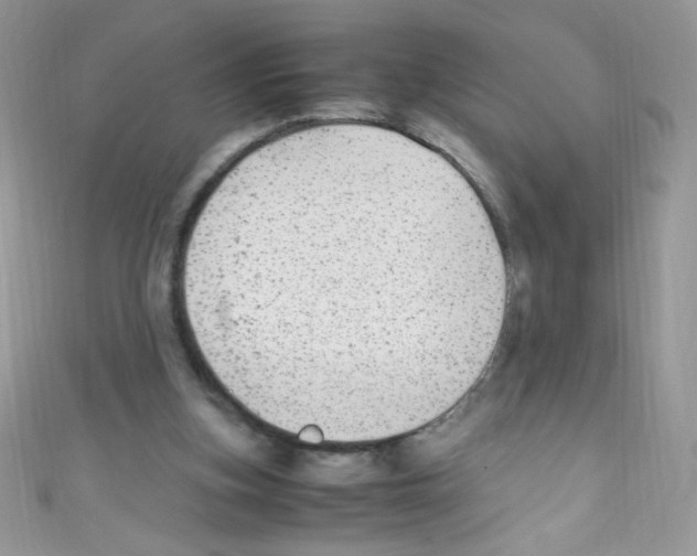 X0000110730155200907241234