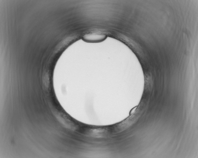 X0000110730158200907241234
