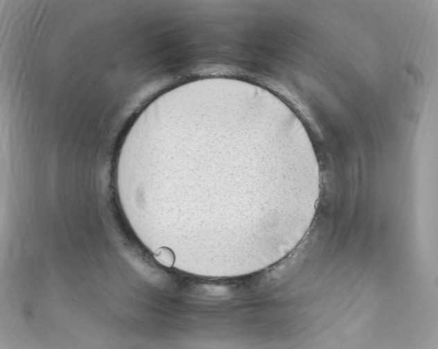 X0000110730159200907241234